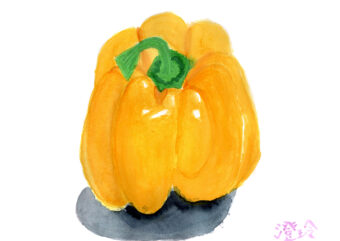 夏期講習Ｓコース水彩画（小学６年）「ふしぎな形のパプリカ」