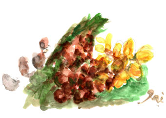 アビターレ・葡萄