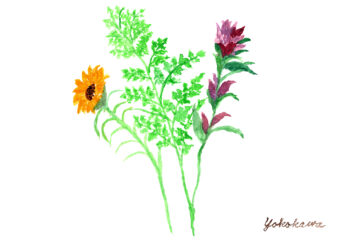 アビターレ・ヒマワリ、リンドウ、レザーファン